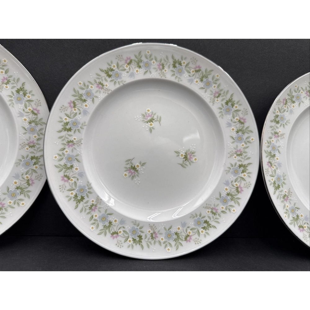 Vtg Johann Haviland Forever Spring 8" Desert Plates Bavaria Germany‎ (Set of 4)